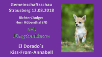 Gemeinschaftsschau Strausberg J&uuml;ngstenklasse 12.08.2018